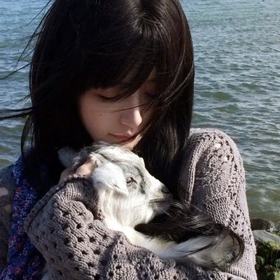 海豚之眼